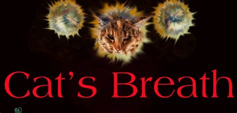 Cats often get a bad rap, but are our tykes really in danger? Grandmama's Good Advice: Cats Stealing Baby's Breath! # ...