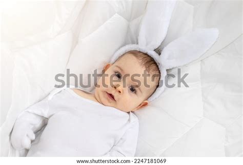 Cute Little Baby Boy Bunny Rabbit Stock Photo 2247181069 Shutterstock