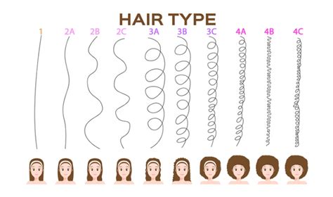 Comment Définir Ma Texture Et Mon Type De Cheveux