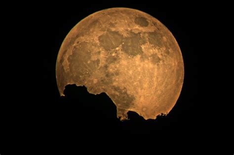 Full Moon Free Stock Photo Public Domain Pictures