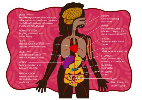 This article looks at female body parts and their functions, and it provides an interactive diagram. What Aboriginal women need to know about alcohol