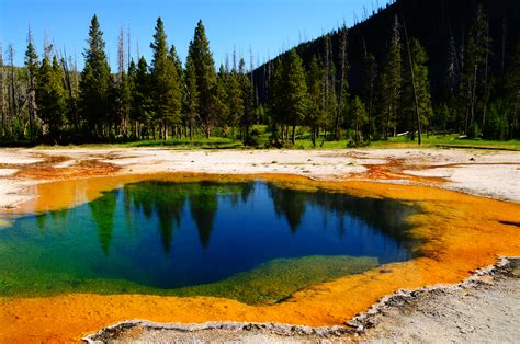Los Encantos De Yellowstone El Primer Parque Nacional De Estados