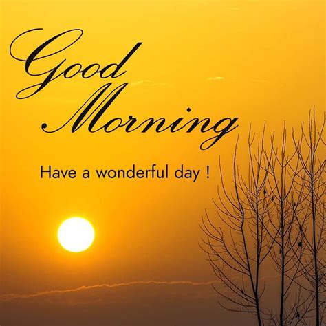Best good morning images wallpaper pictures photo pics hd download with flower for whatsaap. Good Morning Nature Images HD, Quotes Free Download