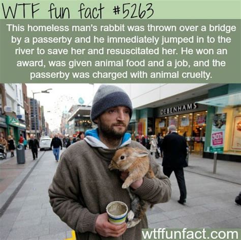 Pin By Fern On Wtf Fun Facts Wtf Fun Facts Fun Facts Weird Facts