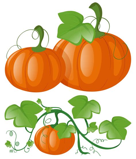 Pumpkin Vine Svg