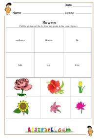 Flowers Worksheets,Printable Cut and Paste Worksheets,Educational