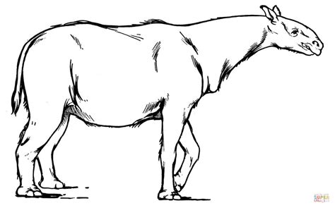 Download Paraceratherium extinct rhinoceros-like mammal coloring page | Free Printable Coloring Pages