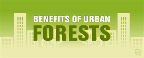 Urban Forestry Benefits Infographic Ecogreenlove Urban Forestry