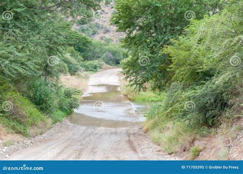 Concrete Causeway In The Baviaanskloof Stock Image Image Of River
