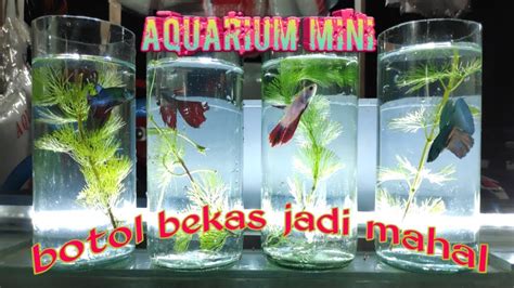Membuat Aquarium Mini Dari Barang Bekas Botol Plastik Cara My XXX Hot Girl