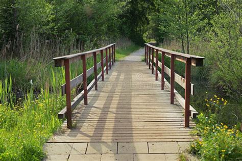 The Wooden Bridge In The Wetlands Stock Photo Image Of Background