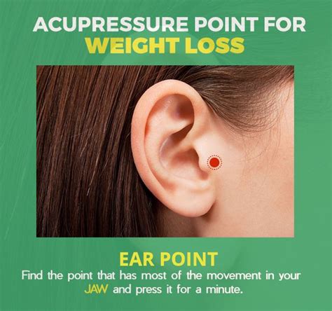 Pressure Points On Ear For Weight Loss Zonbahlingertagliapietra