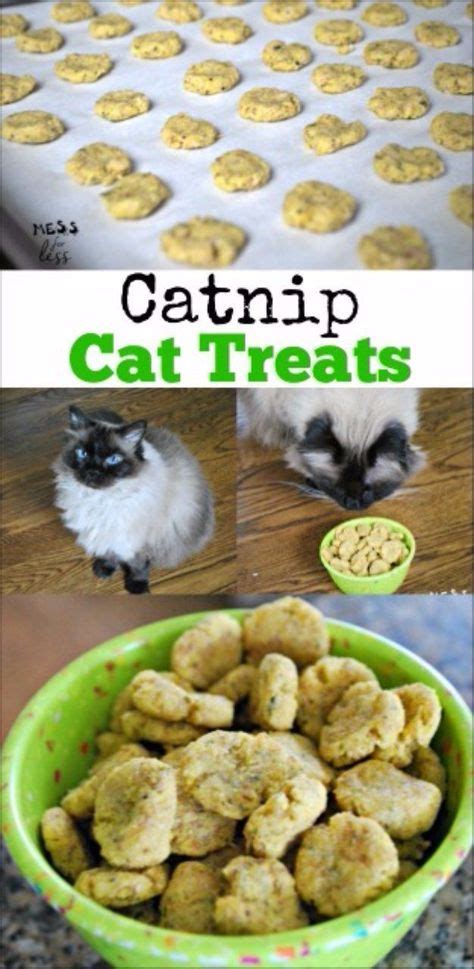 200 Homemade Cat Food Recipes Ideas Homemade Cat Food Cat Food Homemade Cat