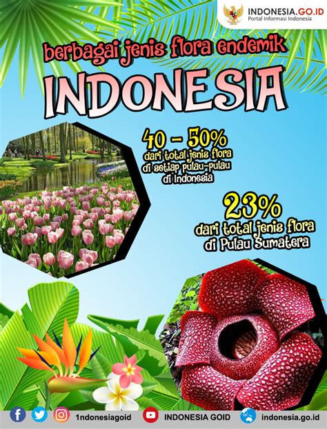 Sama seperti flora, persebaran fauna di indonesia juga terbagi ke dalam tiga wilayah. Poster Perlindungan Flora Dan Fauna - Gambaran