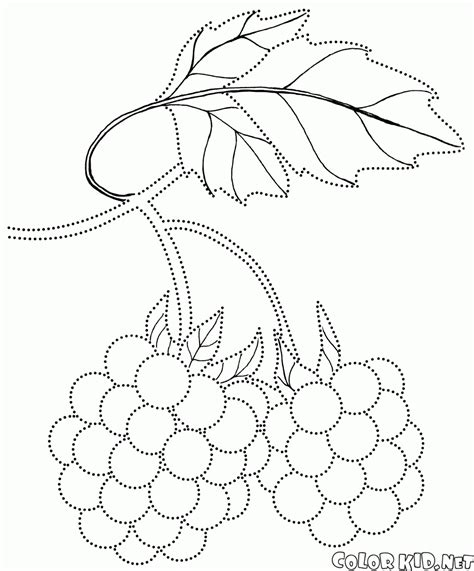 Coloring page - Berries
