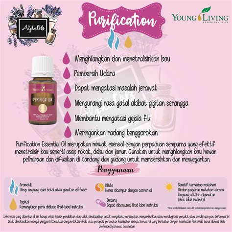 Spearmint oil can be a replacement for peppermint when it is unavailable. Lavender Oil Young Living Manfaat | Lavandula Angustifolia
