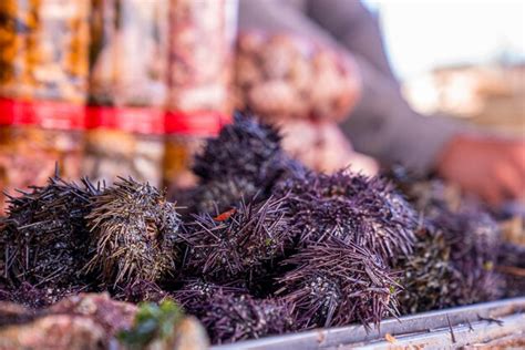 Premium Photo Closeup Of Raw Seafood And Fresh Purple Spiky Sea