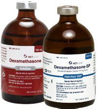 Swish, spit and don't rinse. Dexamethasone, a synthetic adrenocortical steroid, is a ...