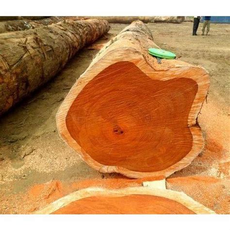 Teak Wood Brown Log Thickness 10 20 Mm At Rs 700sq Ft In Bahadurgarh