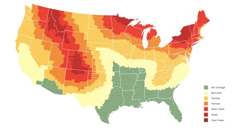 This Fall Foliage Map Shows You When To Expect Peak Autumn