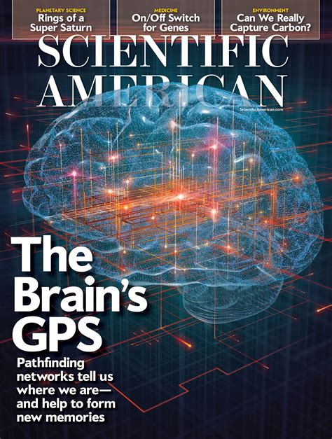 Scientific American The Brains Gps Mark Ross Studio Illustration