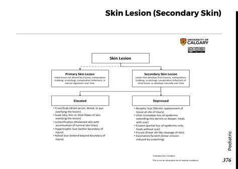 Skin Lesion Secondary Skin Blackbook Blackbook