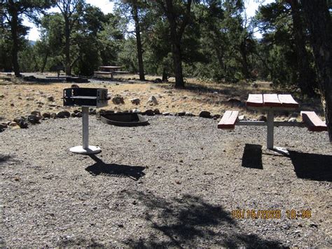 Site 46 Pinon Campground Quemado Lake