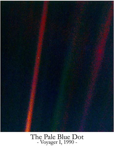 Wallbuddy The Pale Blue Dot Poster Carl Sagan Print Astronomy Poster