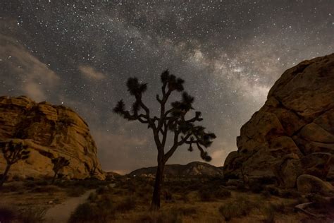 Joshua Tree Hikes Other Things To Do In Joshua Tree National Park