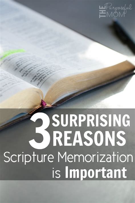 3 Reasons Scripture Memorization Is Important The Purposeful Mom