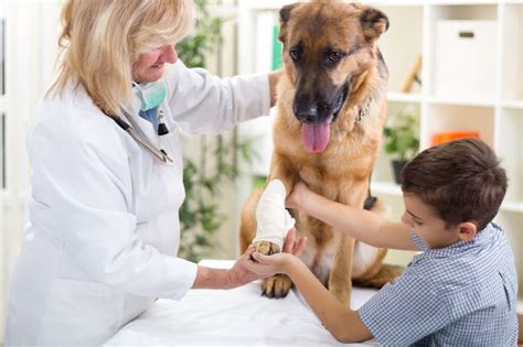 With a simple click, you can find 24 hour vets and animal hospitals ready to care for your pet whatever time. Where Can You Exactly Find A Low Cost Emergency Vet?