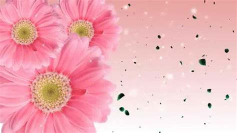 Animated Flowers Blooming Background Youtube