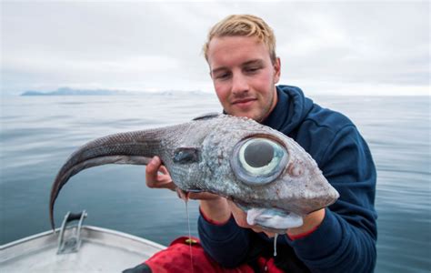 Fisherman Snags Alien Fish That Looks Like Something Straight Out Of