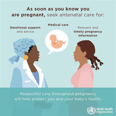 Antenatal Mare And Maternal Health Seek Antenatal Care Infographic Infographics