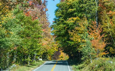 Free Images Landscape Tree Nature Trail Countryside Leaf Fall