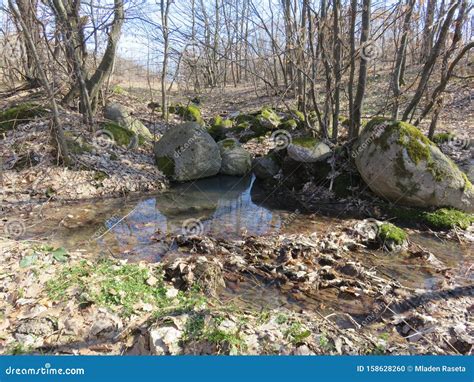 Mountain Stream In The Spring Stock Photo Image Of Relaxing March
