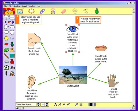 Concept Mind Maps And Graphic Organizers Online