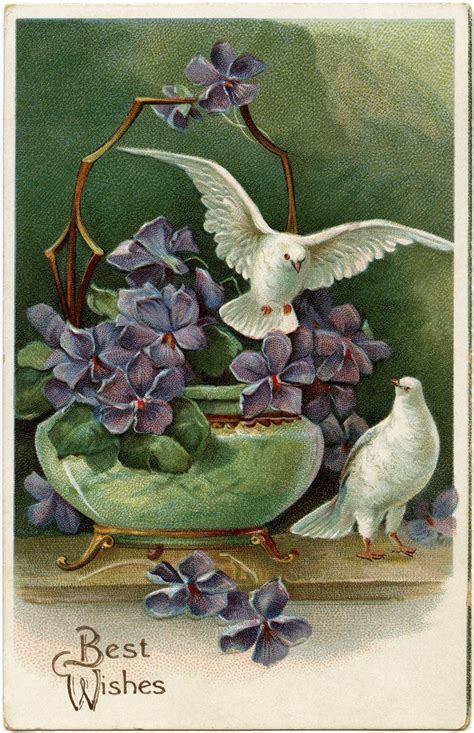 Vintage Birds And Flowers Postcard Vintage Postcards Vintage Postcard Vintage Birds