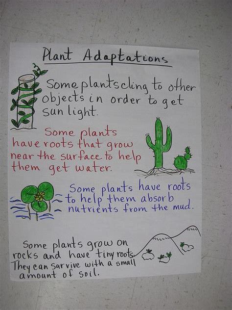 Plant Adaptations Anchor Chart Science Anchor Charts