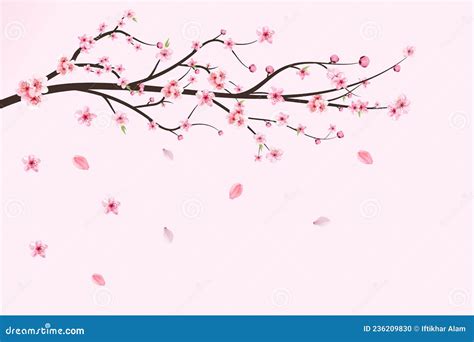 Japanese Cherry Blossom Vector Cherry Blossom Leaves Falling Realistic Cherry Blossom Branch