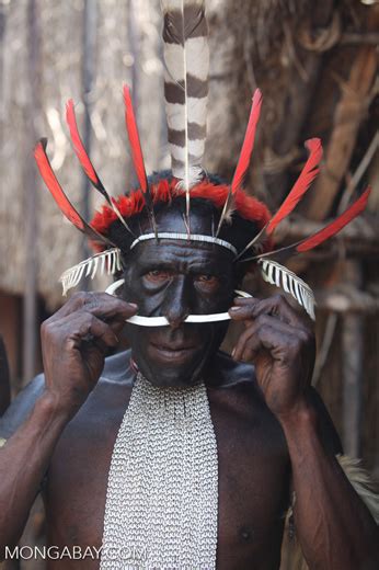 Papuan Man Adjusting The Bone In His Nose