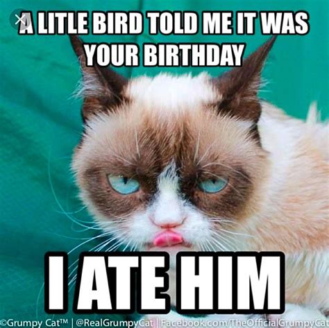 Pin By Bridgette Kearns On Angry Cat Funny Grumpy Cat Memes Grumpy Cat Birthday Funny Memes