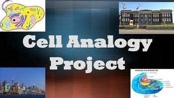 It directs all operations concerning the zoo, including how it works and what happens within it. Cell Analogy Project (Plant and/or Animal Cells)- Editable ...