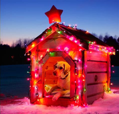 Decked out for the season with a santa hat and red scarf, this adorable 7 ft. 10 Awesome Christmas Decorations For Your Dogs | HomeMydesign