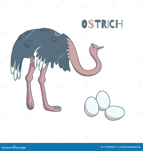ostrich farm eggs woman peasant farmer vector illustration 148727684