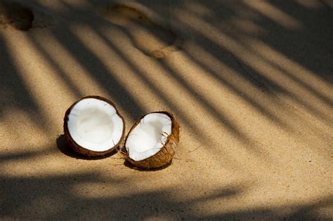 Coconut Free Stock Photo Public Domain Pictures