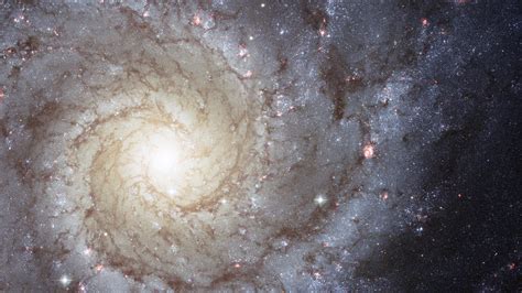 Glistening Galaxy With Brown Spiral Hd Galaxy Wallpapers