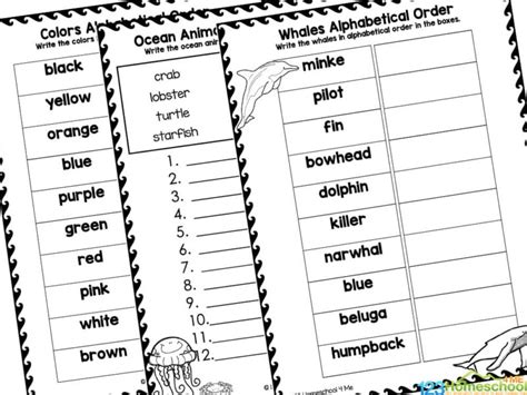 Chronological Order Worksheets Grade 6