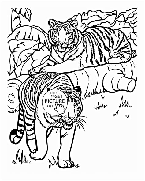 Explore 623989 free printable coloring pages for your kids and adults. Tiger Animal Coloring Pages - Coloring Home