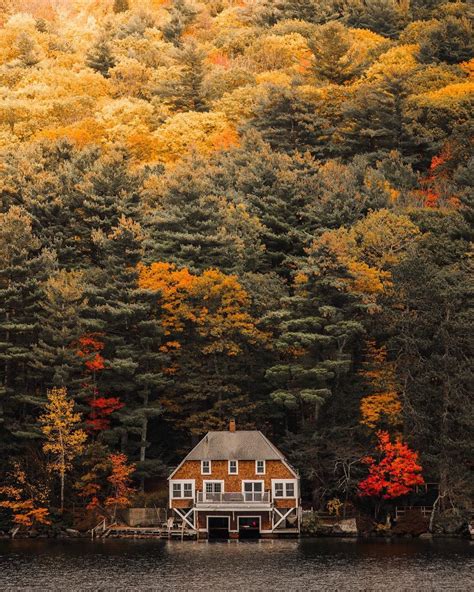 Cute Cabins Cabins And Cottages Cozy Cabin Fall Foliage Autumn